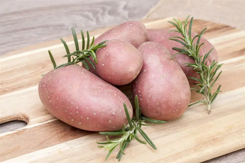 Aardappel - pomme de terre 'Désirée' ZAKJE 12ST. - afbeelding 1