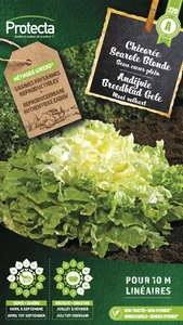 andijvie breedblad gele volhart 