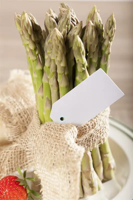 Asparagus officinalis P9 - afbeelding 2
