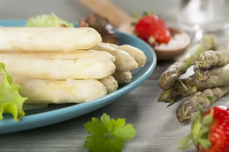 Asparagus officinalis P9 - afbeelding 3