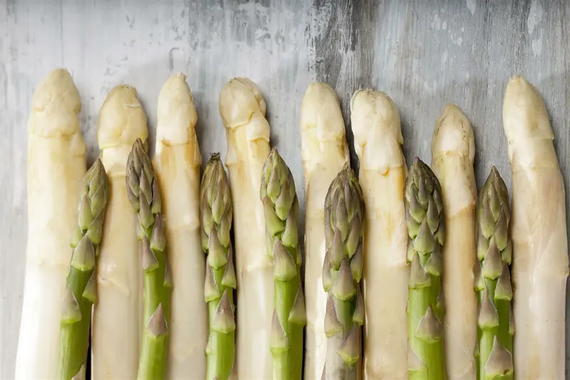 Asparagus officinalis P9 - afbeelding 4