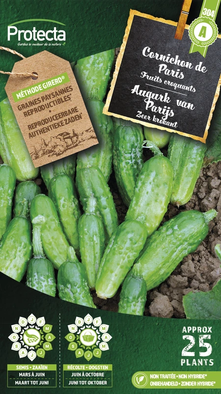 augurk kleine groene van parijs