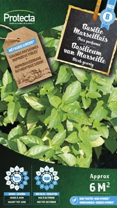 basilicum geurig van marseille