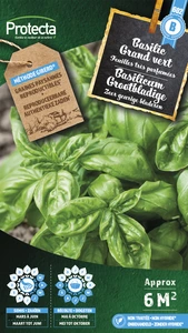 basilicum grootbladige