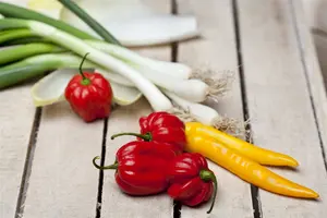 bieslook  witte - afbeelding 2