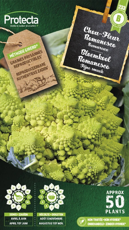 bloemkool romanesco