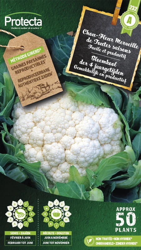 bloemkool wonder 4 jaargetijden