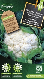 bloemkool wonder 4 jaargetijden