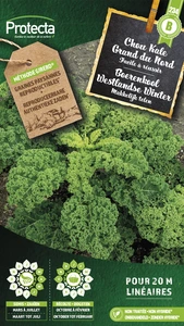 boerenkool westlandse winter