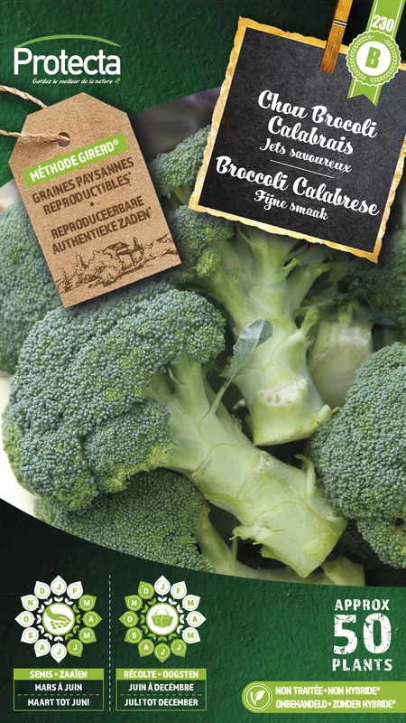 broccoli groene calabrese