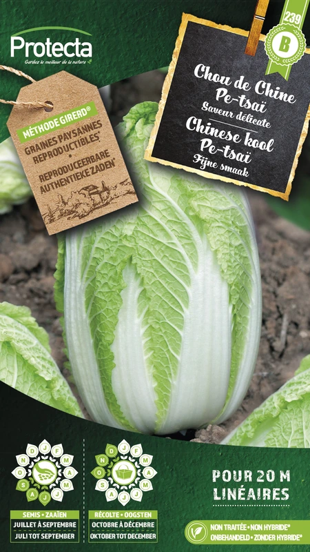 chinese kool pe-tsaï