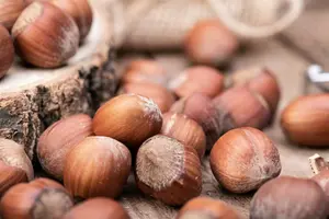 Corylus 'Hallesche Riesen' ( 'bollwiller') 80-100   C7,5