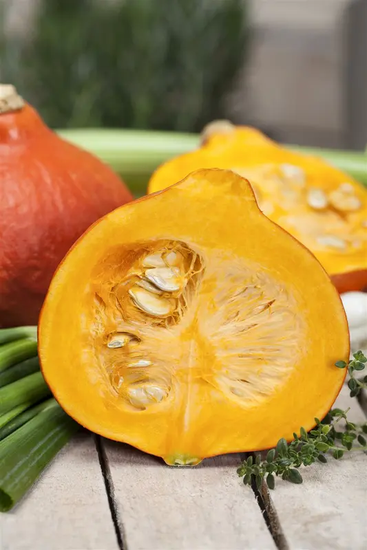 courgette donkergroene vollegrond - afbeelding 2