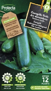 courgette donkergroene vollegrond