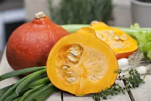 courgette donkergroene vollegrond - afbeelding 3