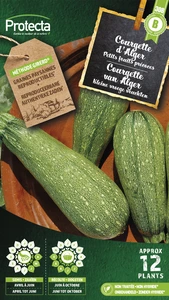courgette kleine groene van alger