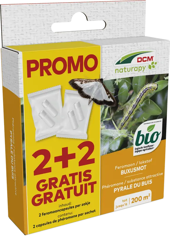 dcm cydalima-pheromone - buxusmot 2+2 caps