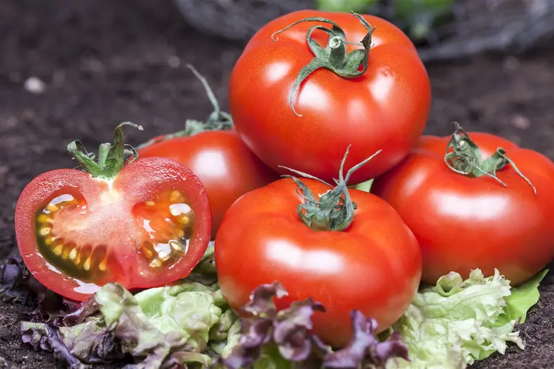 dcm vloeib tomaten 2,5l - afbeelding 6