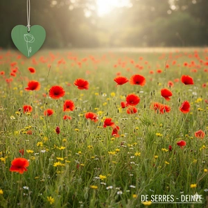 eenjarig bloemenmengsel we1