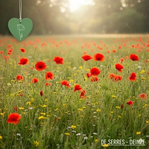 eenjarig bloemenmengsel we1