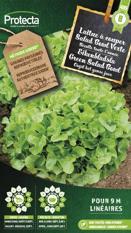 eikenbladsla groene salad bowl 