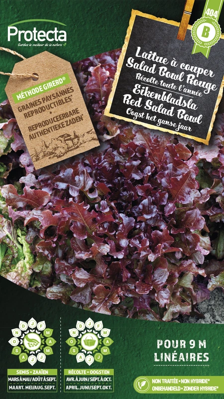 eikenbladsla rode salad bowl