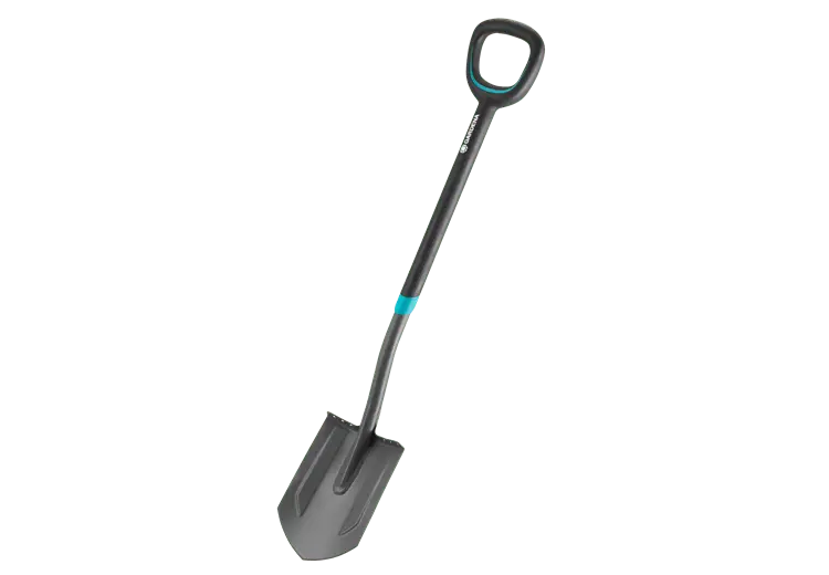 ergoline puntspade
