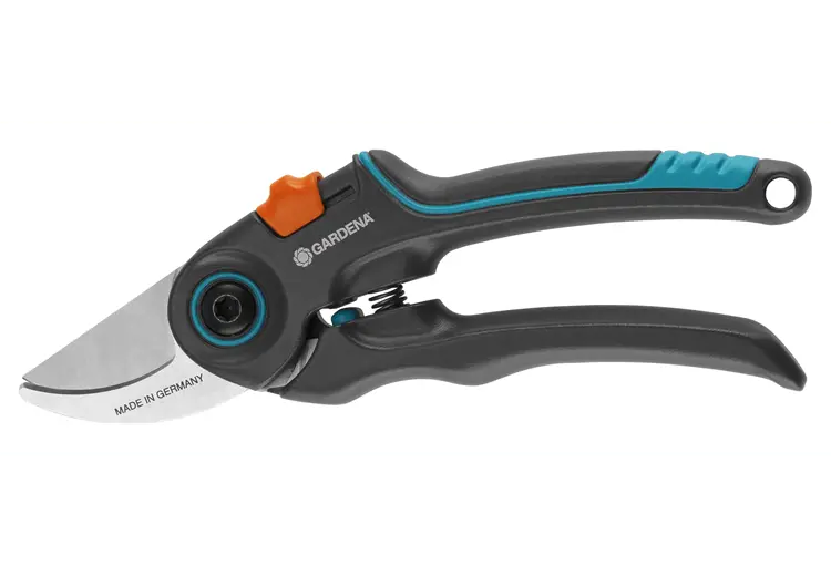 expertcut