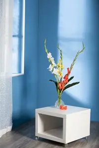 Gladiolus 'White Friendship' BLOEMBOL *7 - afbeelding 3