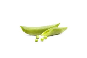 hoge doperwten telephone - afbeelding 3