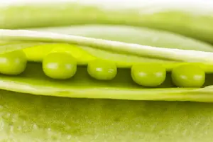 hoge doperwten telephone - afbeelding 4