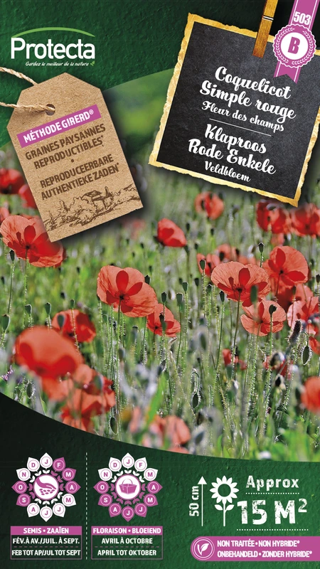 klaproos rode enkele