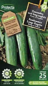 komkommer  lange engelse