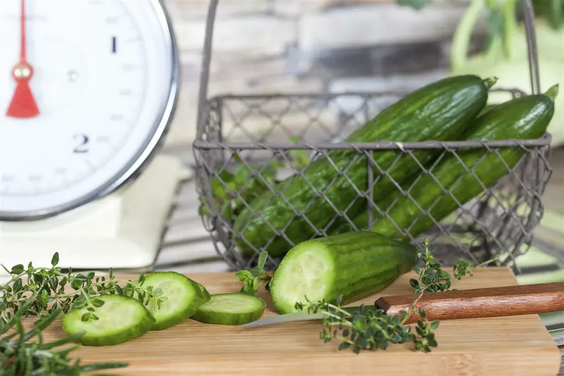 komkommer  marketmore bio - afbeelding 4