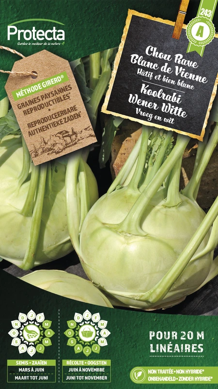 koolrabi wener witte