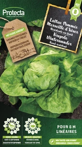 kropsla winterwonder