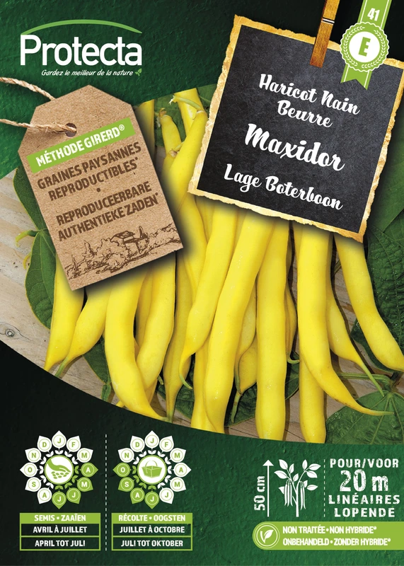 lage boterboon maxidor