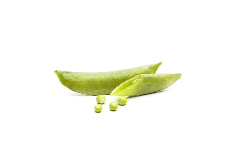 lage erwten eminent - afbeelding 3