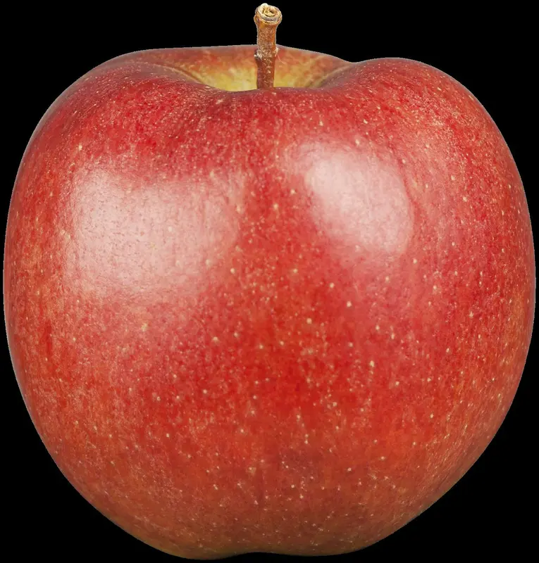 Braeburn - afbeelding 1