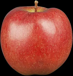 Braeburn - afbeelding 5