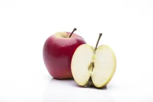 Malus d. 'Elstar' 10/12 HO BW - afbeelding 2