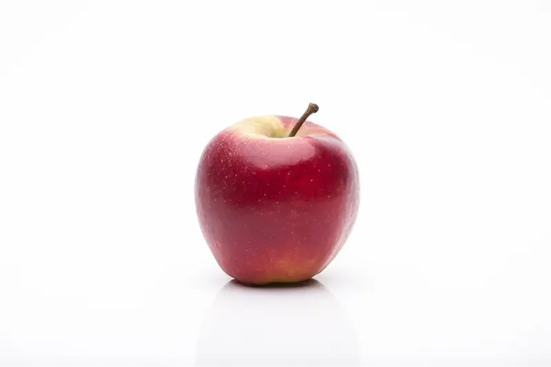 malus d. 'elstar' PALMET DUBBELE U BW (U) - afbeelding 5