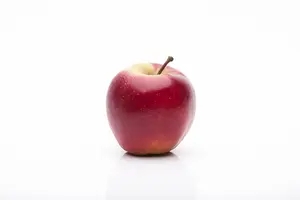 malus d. 'elstar' PALMET DUBBELE U BW (U) - afbeelding 5