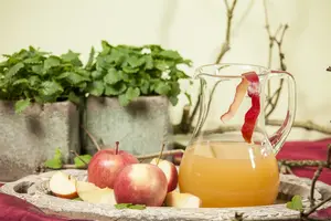 Malus d. 'Fuji' ( 'kiku 8') HOOGST.  BW (8/10) - afbeelding 2