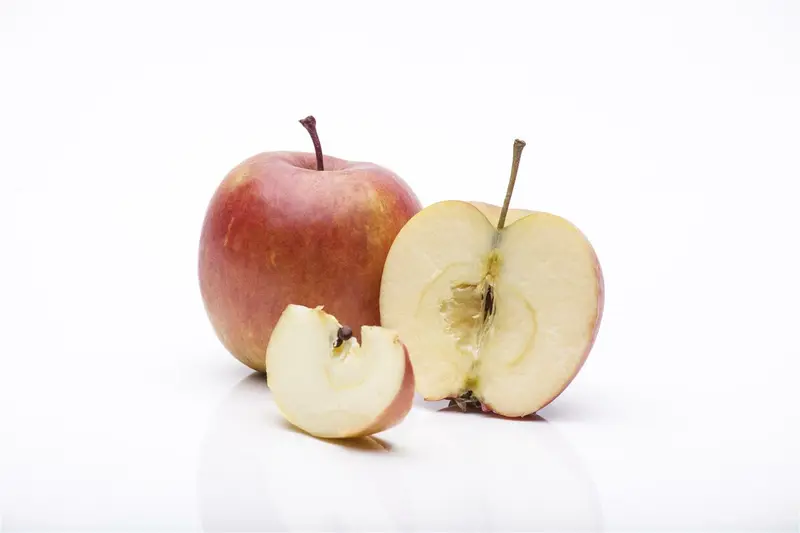 Malus d. 'Fuji' ( 'kiku 8') HOOGST.  BW (8/10) - afbeelding 3