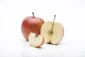 Malus d. 'Fuji' ( 'kiku 8') HOOGST.  BW (8/10) - afbeelding 3