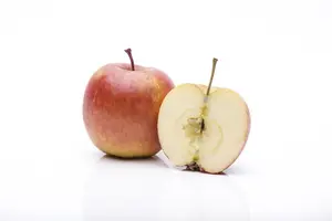 Malus d. 'Fuji' ( 'kiku 8') HOOGST.  BW (8/10) - afbeelding 4