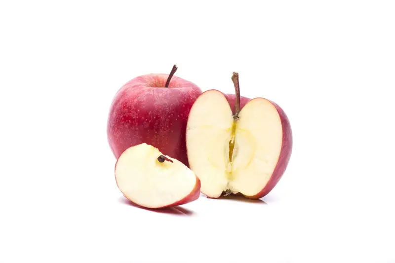 malus d. 'gala' C7,5 HALFST - afbeelding 4