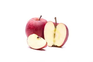 malus d. 'gala' C7,5 HALFST - afbeelding 4