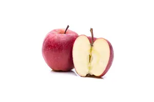 malus d. 'gala' C7,5 HALFST - afbeelding 5